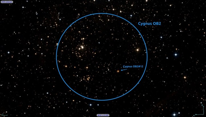 Roiul stelar Cygnus OB2 și steaua care este de 6.000.000 de ori mai luminoasă decât Soarele. Foto: DSS Roiul stelar Cygnus OB2 și steaua care este de 6.000.000 de ori mai luminoasă decât Soarele. Foto: DSS