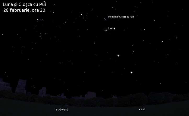 Luna sperie cloșca cu pui - 28 februarie, ora 20