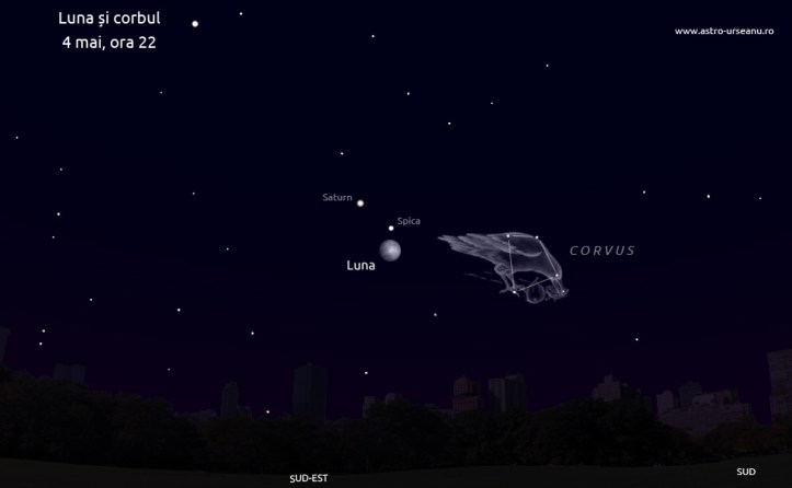 Luna, Spica și corbul Luna, Spica și corbul