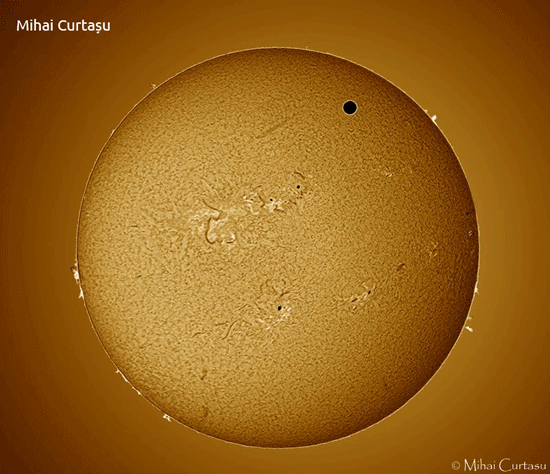 Tranzitul lui Venus în h-alfa. Foto: Mihai Curtașu, Maximilian Teodorescu, Mona Constantinescu Tranzitul lui Venus în h-alfa. Foto: Mihai Curtașu, Maximilian Teodorescu, Mona Constantinescu