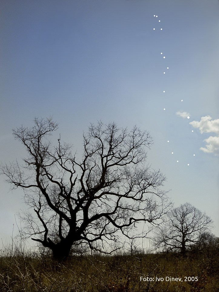 Singura analemă realizată din România, până în prezent. Foto: Ivo Dinev