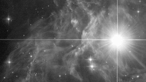 Lumina pare a circula în valuri pe nebuloasa din jurul stele RS din Puppis. Foto: NASA, ESA, G. Bacon (STScI), the Hubble Heritage Team (STScI/AURA)-Hubble/Europe Collaboration, and H. Bond (STScI and Pennsylvania State University)