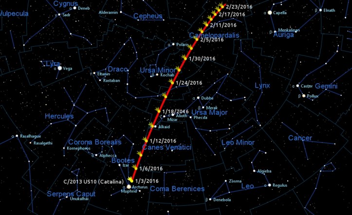 Traseul cometei C/2013 US10 din trei în trei zile. Poziția cometei este marcată pentru ora 2 dimineața