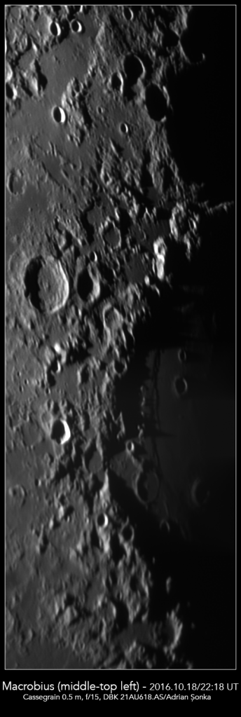 Mozaic al Mării Crizelor. Foto: Adrian Șonka