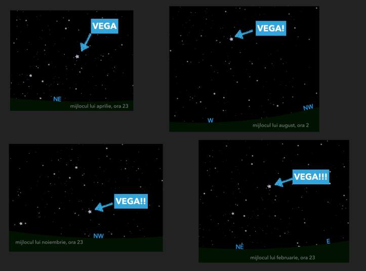 Vega. Vega! Vega!! Vega!!!