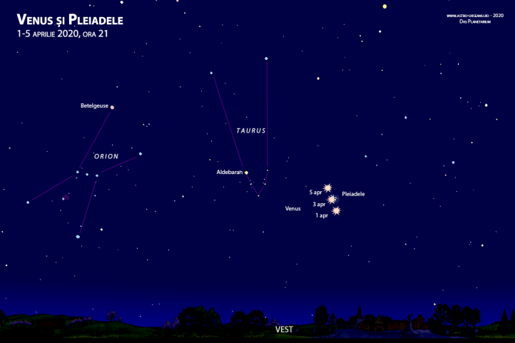 Venus trece prin Pleiade